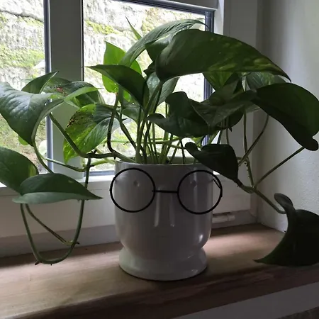 Apartmán Hřensko32